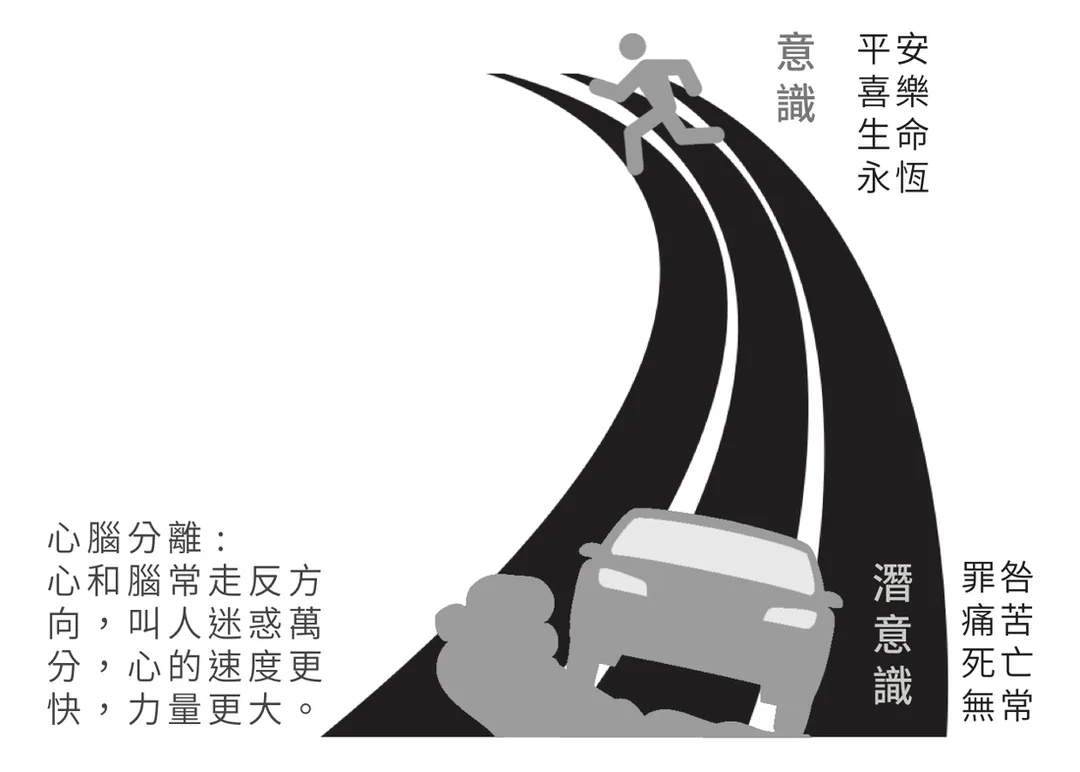 心腦分離