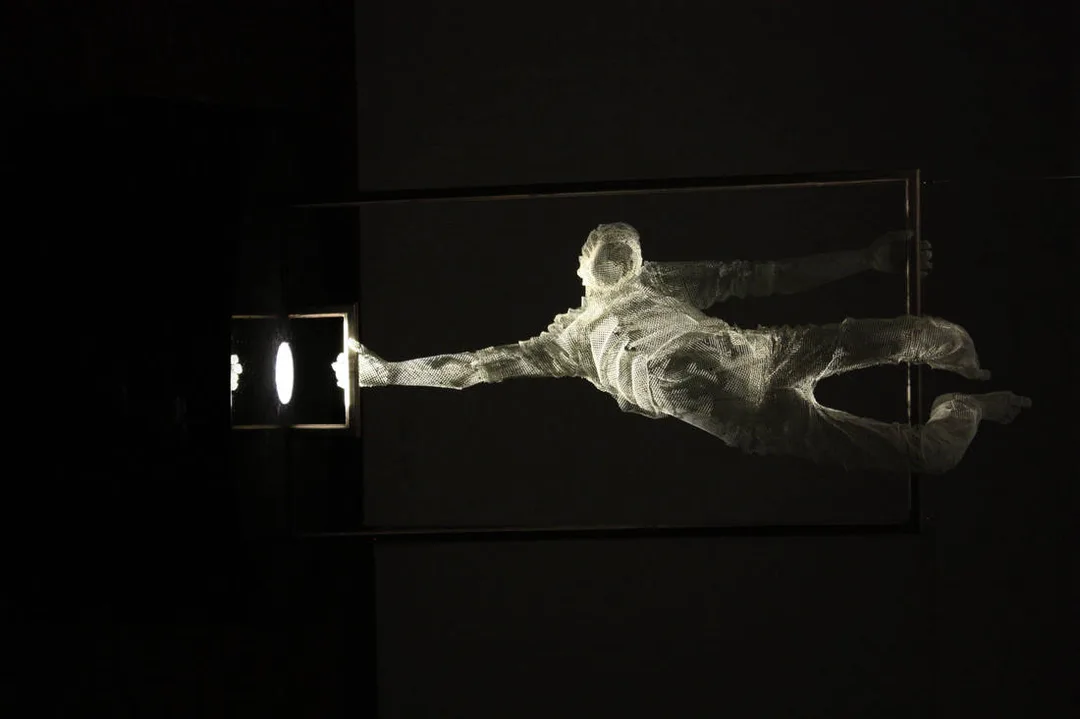 艾鐸亞都·特雷索爾迪 Edoardo Tresoldi (b.1987)｜反轉 Reverse｜2014｜鋼絲、燈光 (互動裝置藝術)｜尺寸不詳